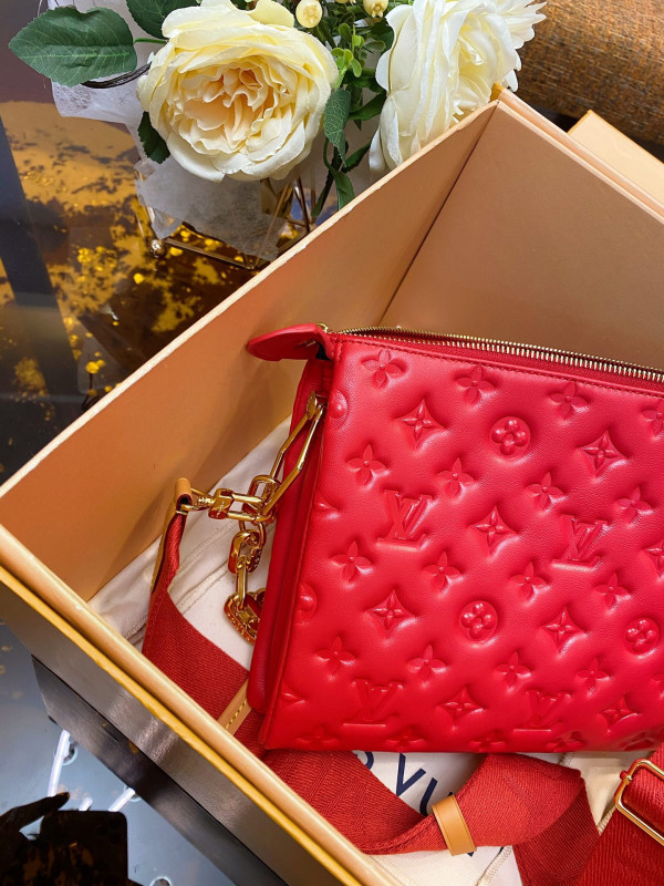 l0*is V*t0n coussin pm