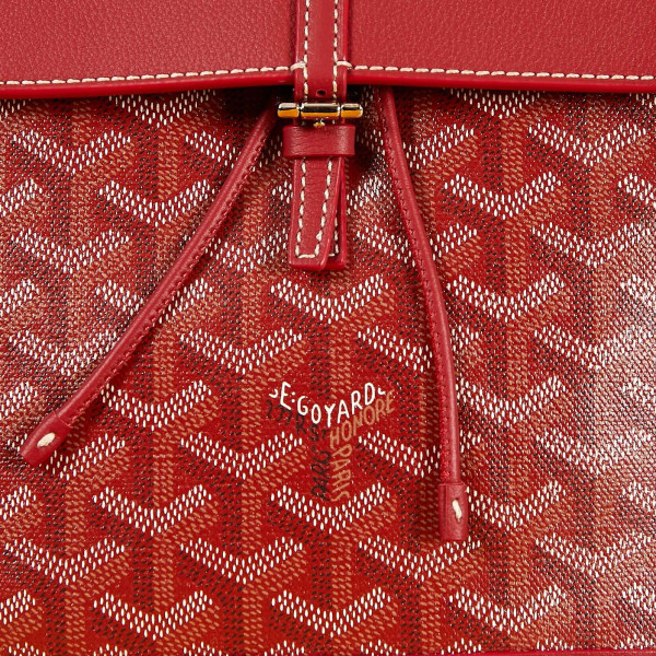 Go*ard alpin mini backpack